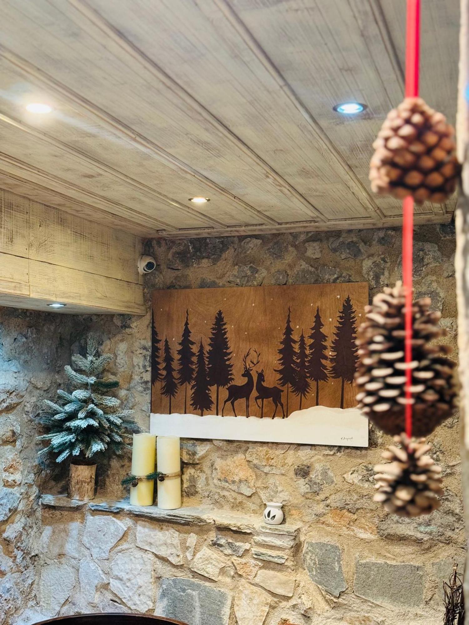 Alexandros Guesthouse Arachova Bagian luar foto